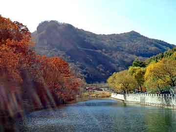 管家婆黑白马报图库，湖南黄粉虫